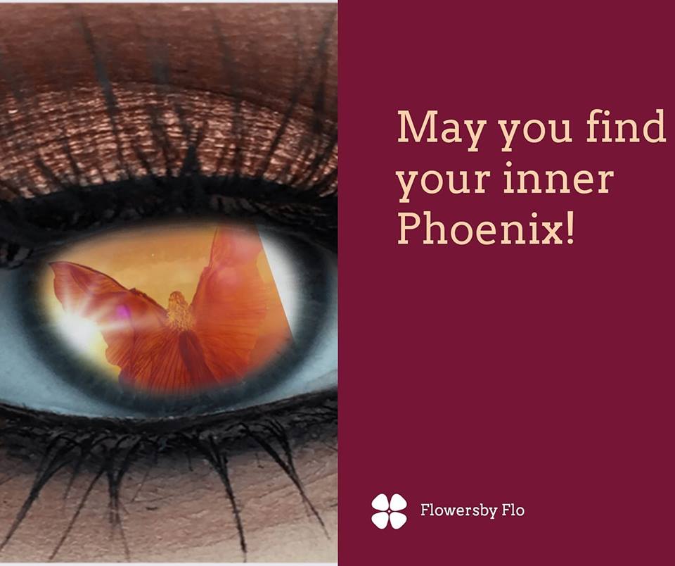 35145363_10155793592843925_7362338952033861632_n